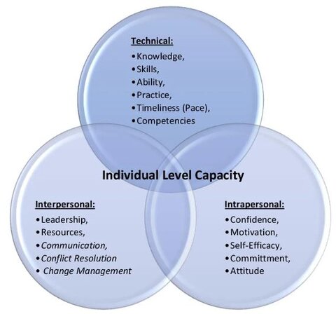 What Do We Mean By Individual Capacity Strengthening For Primary Health ...